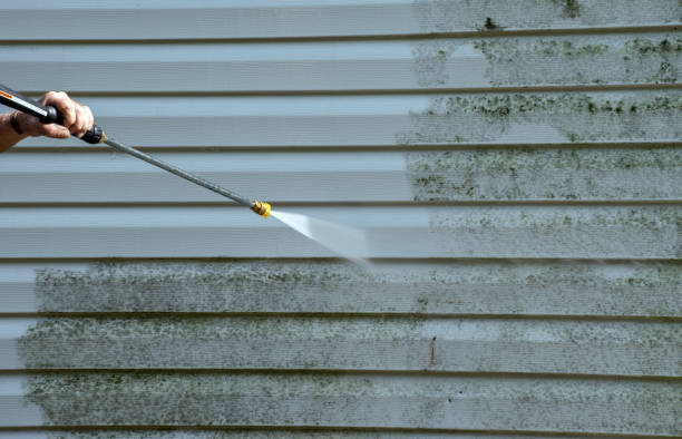 Local Pressure Washing Services in Burke, VA